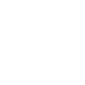 WW-Skull-Reverse